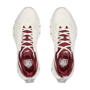 Мужские кроссовки Reebok ZIG KINETICA 3