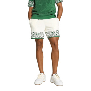 Мужские шорты PUMA The Fairgrounds Terry Short