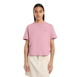 Женская футболка Dickies OAKPORT BOXY SS TEE