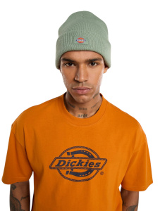 Мужская шапка Dickies GIBSLAND BEANIE