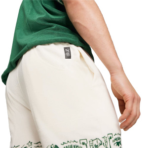 Мужские шорты PUMA The Fairgrounds Terry Short