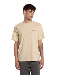 Мужская футболка Dickies PELHAM TEE SS
