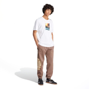 Мужская футболка adidas ADI PIC TEE
