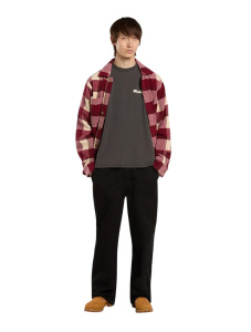 Мужская футболка Dickies SLAYDEN GD TEE SS