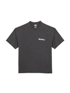 Мужская футболка Dickies SLAYDEN GD TEE SS