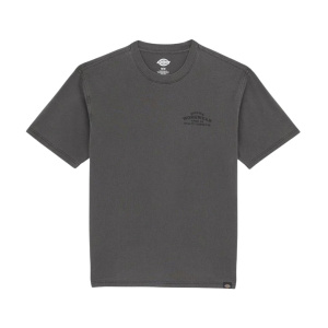 Мужская футболка Dickies CHRISTIANA GD TEE SS