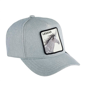 Кепка Goorin brothers BELIEVER