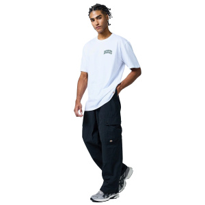 Мужская футболка Dickies AITKIN CHEST TEE SS