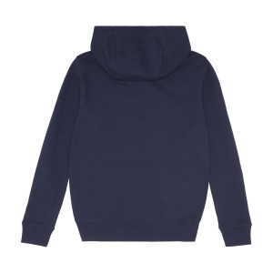 Мужская толстовка Tommy Jeans REG ENTRY GRAPHI