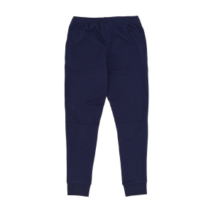 Мужские Спортивные штаны Lacoste