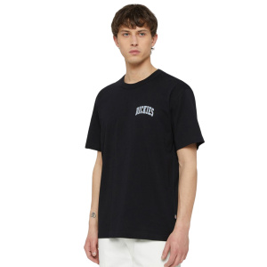 Мужская футболка Dickies AITKIN CHEST TEE SS