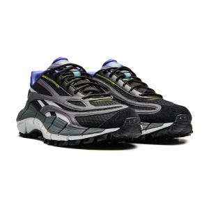 Кроссовки Reebok ZIG KINETICA 2.5X