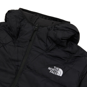 Мужская куртка The North Face LAPAZ HOODED JACKET