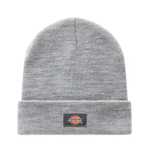 Мужская шапка Dickies GIBSLAND BEANIE