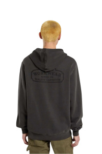 Мужская толстовка Dickies CHRISTIANA GD HOODIE