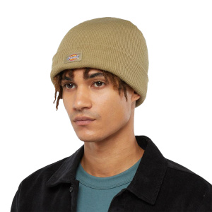 Мужская шапка Dickies GIBSLAND BEANIE