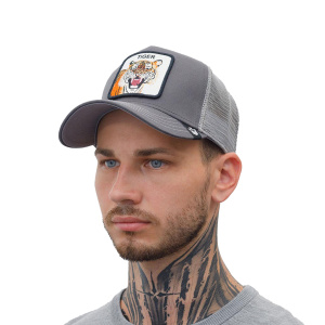 Кепка Goorin brothers GREY TIGER