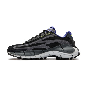 Кроссовки Reebok ZIG KINETICA 2.5X