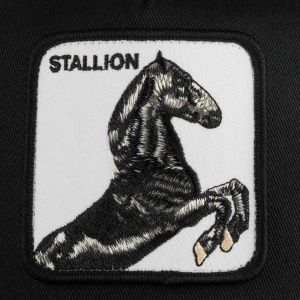 Кепка Goorin brothers BLACK STALLION