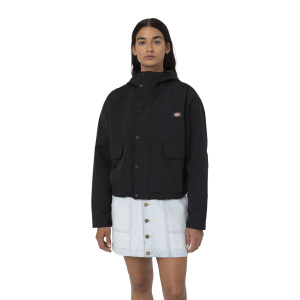 Женская куртка Dickies GLACIER VIEW JACKET