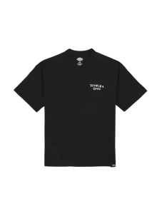 Мужская футболка Dickies SNEEDVILLE TEE SS