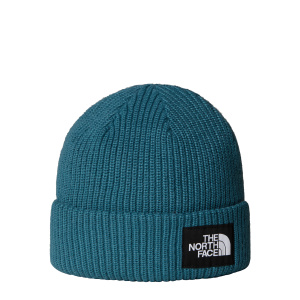 Мужская шапка The North Face SALTY LINED BEANIE