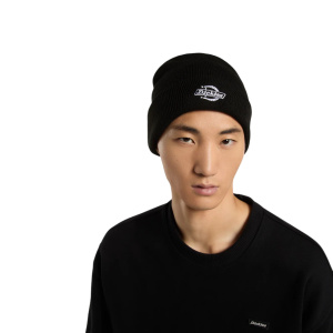 Мужская шапка Dickies SUMMERDALE BEANIE