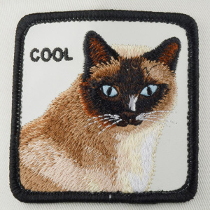 Кепка Goorin brothers WHITE BLACK KIND CAT
