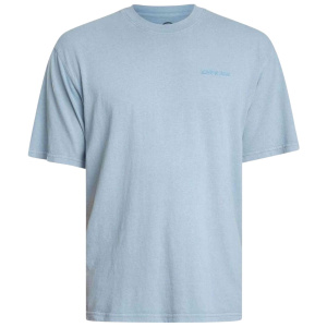 Мужская футболка Dickies PLENTYWOOD SS TEE