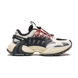 Мужские кроссовки Anta Peacock