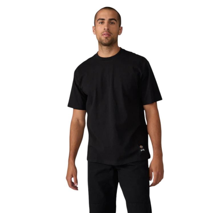 Мужская футболка Dickies THRASHER X TEE SS GRAPHIC