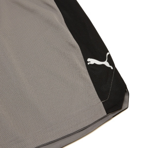 Мужские шорты PUMA Shot Blocker Short