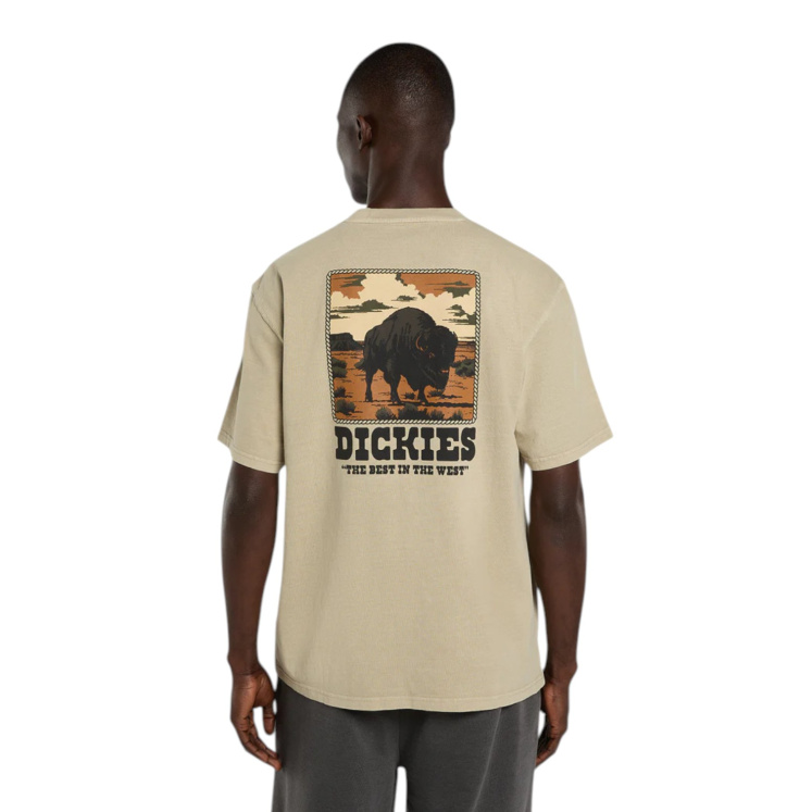 Мужская футболка Dickies DARRTOWN SS TEE