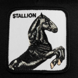 Кепка Goorin brothers STALLION
