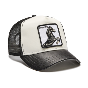 Кепка Goorin brothers Great Stallion