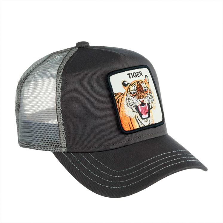 Кепка Goorin brothers EYE OF THE TIGER