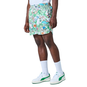 Мужские шорты PUMA The Fairgrounds Resort Short