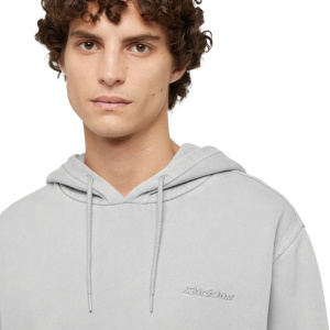 Мужская толстовка Dickies PLENTYWOOD HOODIE