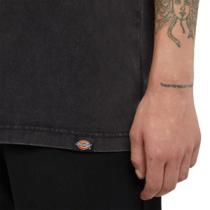 Мужская футболка Dickies PLENTYWOOD TEE SS
